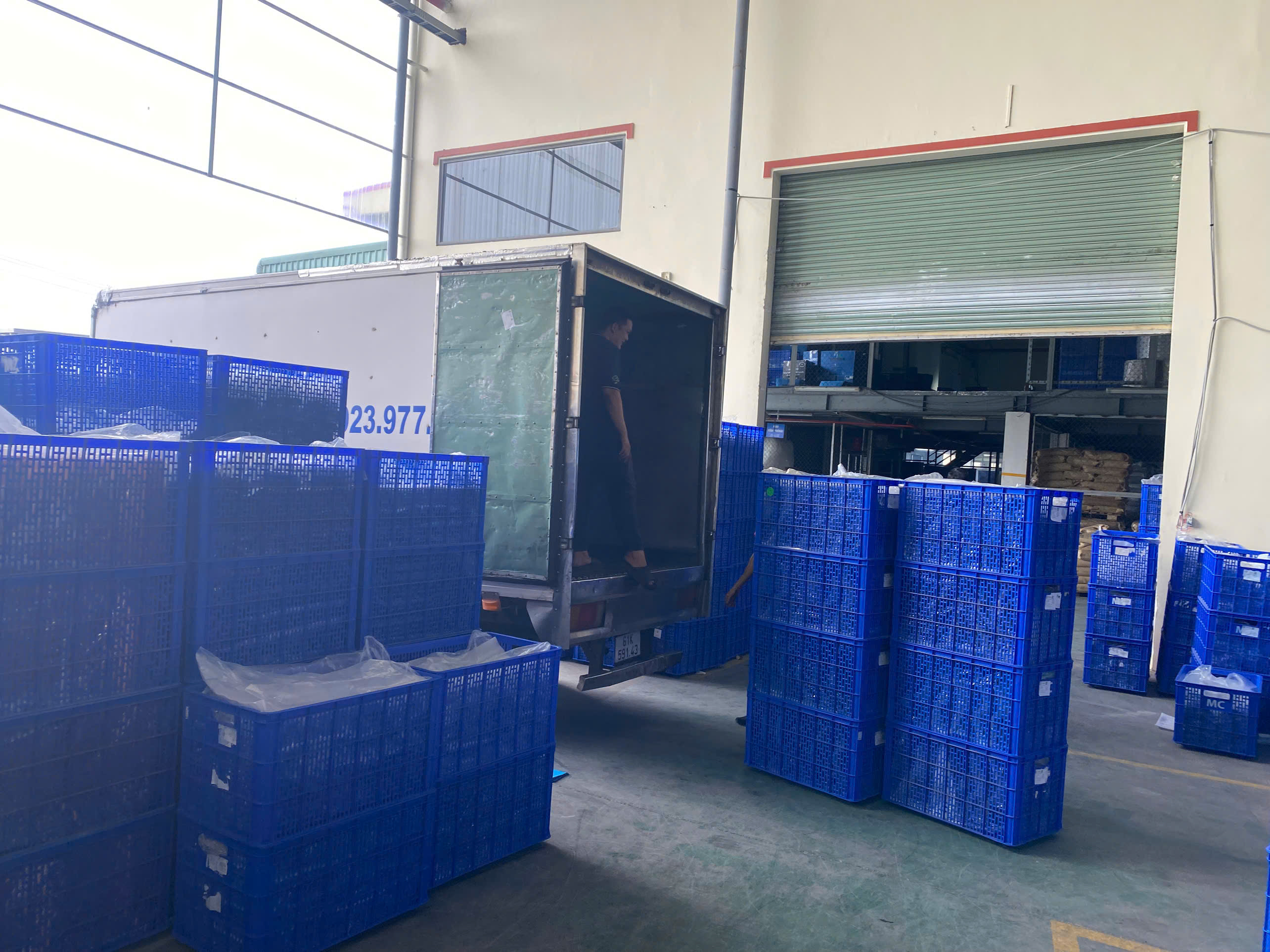 Consolidation area before dispatch to transport team